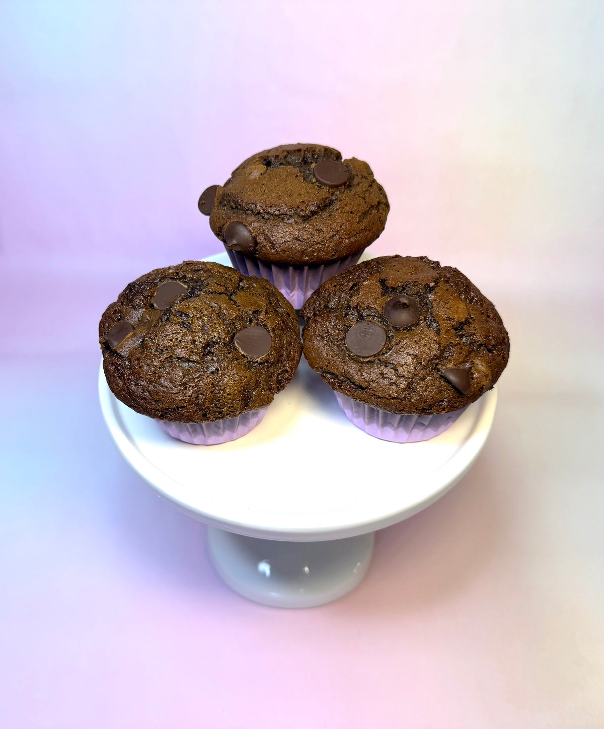 Chocolate Muffin